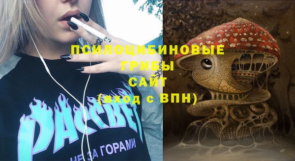 индика Верея