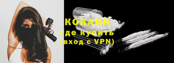 индика Верея
