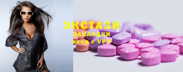 индика Верея