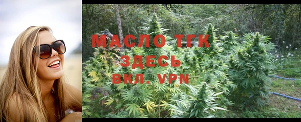 индика Верея