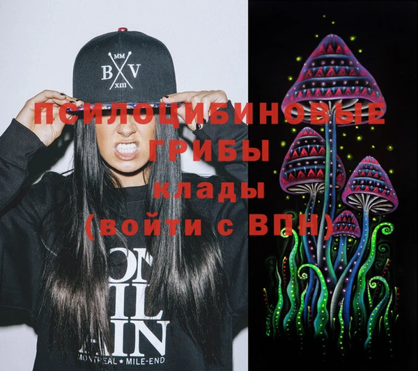 индика Верея