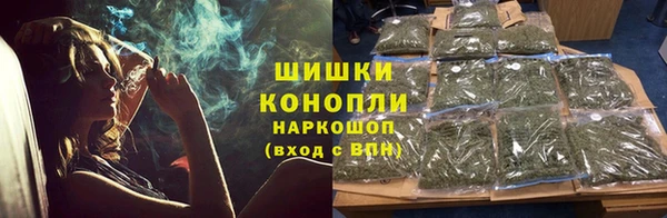 индика Верея